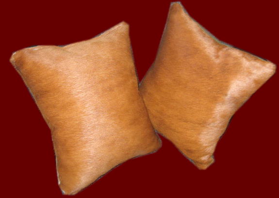 Set of 2 Light Leather Throw Pillows